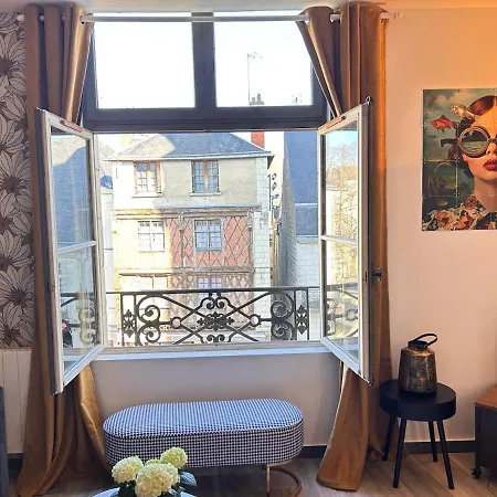 Apartment Le Cinq, De Charme Place Saint Pierre Saumur